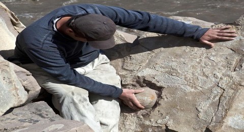 العثور على بيض ديناصورات في الشيشان العثور على بيض ديناصورات في الشيشان