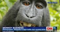 صورة “السائح والقرد” تشعل المواقع وتصل للمحاكم الأمريكية