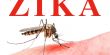 فيروس " زيكا" ينتشر في اسرائيل؟!