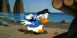 Donald Duck Cartoons Non Stop