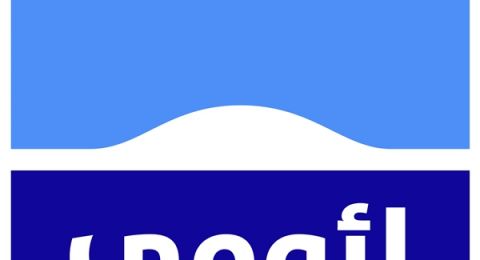 بنك لئومي ينضم إلى جهود إعادة الإسرائيليين من الخارج: سيُطلق سفينة خاصة من قبرص