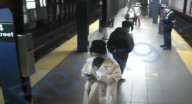 شاب يدفع امرأة في نيويورك تحت عجلة القطار
