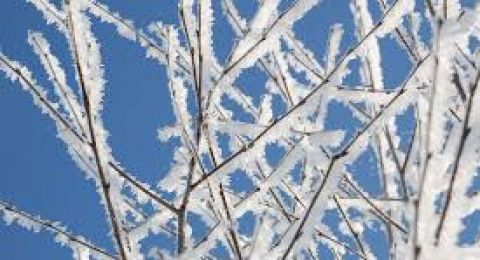 أطلقوا عليها اسم 