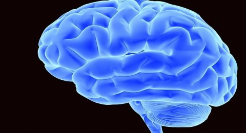 أمراض تؤثر على الإدراك وصحة الدماغ