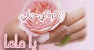ست الحبايب يا حبيبه ست الحبايب يا حبيبه
