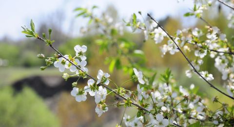 عواصف رعدية وأمطار غزيرة مصحوبة برياح شديدة