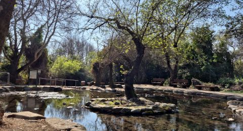 عشرات المعالم الترفيهية في الشمال تنتظر الزوار بفترة الأعياد