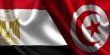مصر وتونس تبحثان التحرك العربي في مجلس الأمن