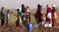 لهيب الحرب يكوي الأطفال السوريين