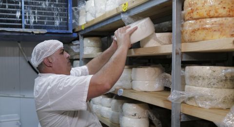 جدل واسع في إسرائيل بعد قرار زيادة واردات الجبن بنسبة 70%.. مزارعو الألبان يحذرون من إغلاق 150 مزرعة