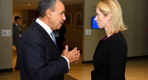 وزيرا خارجية مصر وروسيا يبحثان اتفاق وقف إطلاق النار في غزة