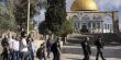 مستوطنون يقتحمون الأقصى ودعوات للرباط والنفير غدًا
