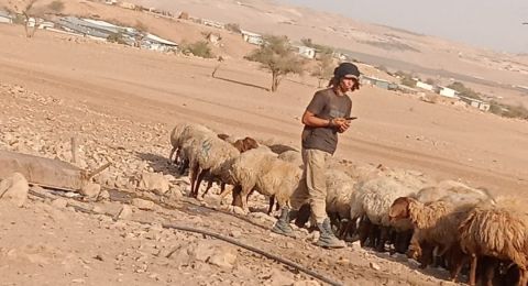 الصندوق السيادي النرويجي يقرر سحب استثماراته من 6 شركات مرتبطة بإسرائيل