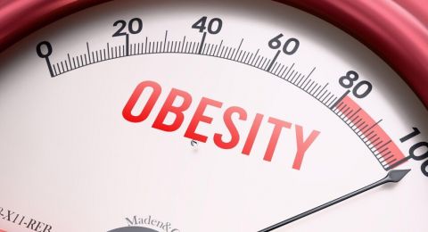 مفتاح جديد لمحاربة السمنة من باب الدماغ