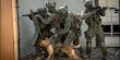 الجيش الاسرائيلي يعتقل 14 فلسطينيًا