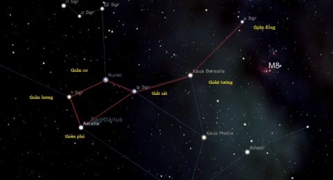 شجرة الحياة: طاقة الصمود والنمو التي يحتاجها برجك هذا الأسبوع