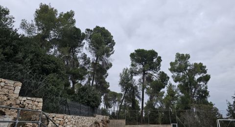 أجواء حارة نسبيا والحرارة أعلى من معدلها العام