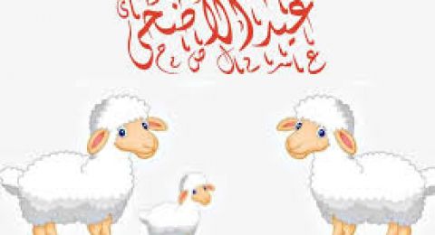 معهد البحوث الفلكية في مصر يكشف أول أيام عيد الأضحى