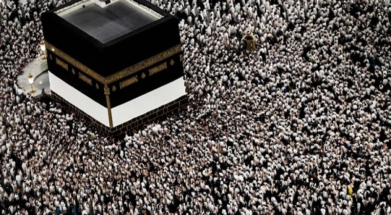 التحول الرقمي يدعم موسم حج 1446هـ.. تطبيقات ذكية تسهل رحلة ضيوف الرحمن بالمدينة المنورة