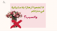كيف تجدد طاقة بيتك الايجابية، لماذا لا يجب أن نضع في البيت ورد بلاستيكيًا أو مجففًا؟