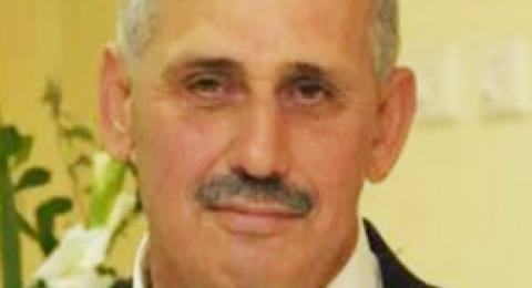 القطة الحنون