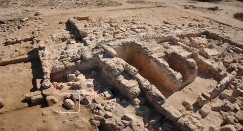 مصر.. العثور على رأس تمثال بطلمي يعود للقرن السابع