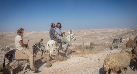 منظمة التعاون الإسلامي تدين تشريعات إسرائيلية لضم الضفة الغربية وترحب بقرار محكمة العدل الدولية