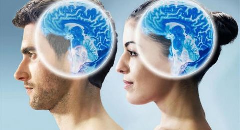 دراسة جديدة تكشف اختلافات في انكماش الدماغ بين الرجال والنساء مع التقدم في العمر