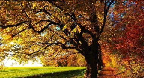 الطقس: أجواء خريفية معتدلة وارتفاع تدريجي في درجات الحرارة