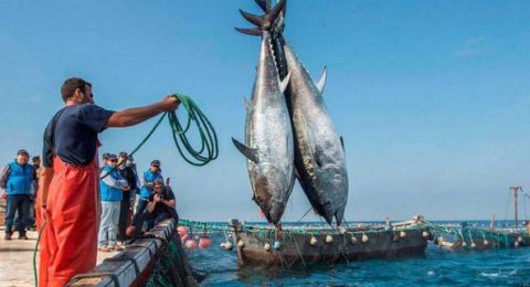 المغرب يوقع اتفاق صيد 