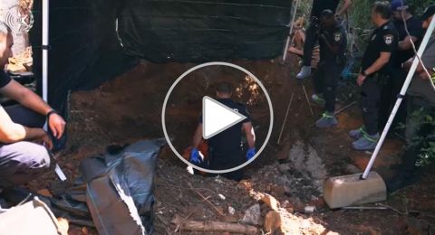 كرميئيل: ابنة تخفي جثة والدتها الناجية من المحرقة داخل الحديقة طمعًا في المال