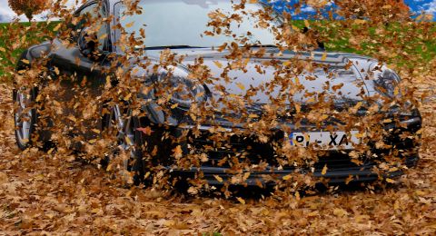 نصائح ذهبية لقيادة السيارة بأمان مع الرياح الشديدة