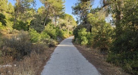 الطقس: أجواء غائمة جزئيا وحارة نسبيا