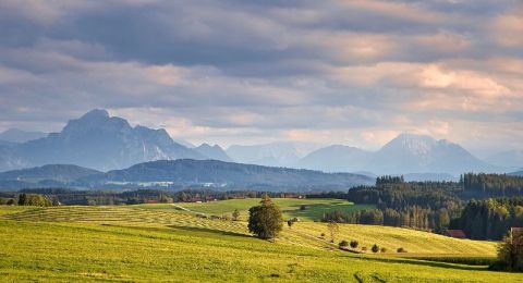 حالة الطقس: أجواء خماسينية شديدة الحرارة ومغبرة