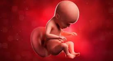 سقوط الجنين بعد ممارسة الرياضة بين وجوب الدية وعدمها