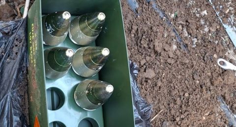 ضبط أسلحة وذخائر في اللد ضمن حملة مكثفة لمكافحة الجريمة