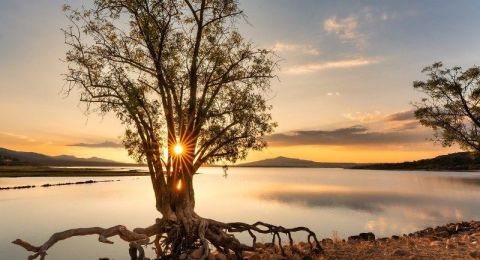 حالة الطقس: تتأثر البلاد بكتلة هوائية معتدلة