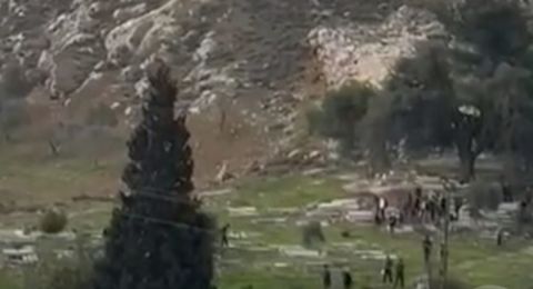 مستوطنون يخربون ممتلكات في قرية فرخة جنوب سلفيت