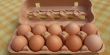 وزارة الزراعة تسمح باستيراد المزيد من البيض من أوروبا!
