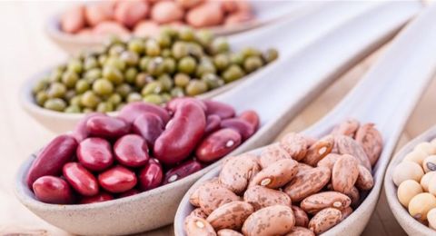 فوائد البقول... دراسة تكشف اهميتها