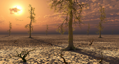 دراسة جديدة تكشف موعد انقراض البشرية