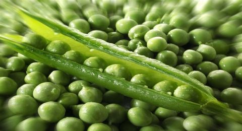 7 أسباب ستجعلك تتناول البازلاء الخضراء يومياً