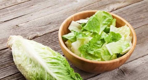 الخس ودوره في الوقاية والتغذية