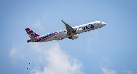 تقديم دعوى تمثيلية ضد شركة 