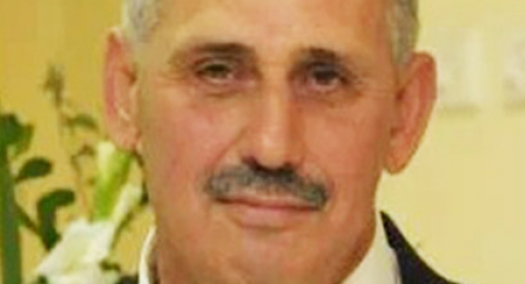 فُلٌّ وثلجٌ وكَستناء.