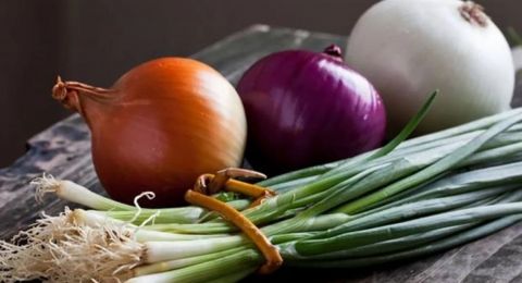 كيف تحتفظ بالبصل طازجاً لمدة 6 أشهر؟