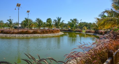 ينبع وجهة سياحية تجمع بين المغامرات البحرية والتراث العريق