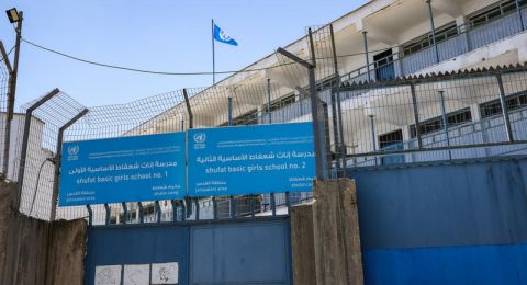 اجتماع عربي–أممي في القاهرة يبحث حماية التعليم للاجئين الفلسطينيين ودعم الأونروا