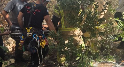 مفرق ياغور: انقاذ عالق من انقلاب شاحنة في حادث طرق خطير.