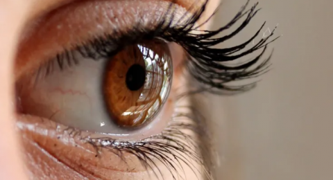 روسيا تطور مكملًا غذائيًا من بذور الكتان لتحسين البصر وتقليل الحاجة لحقن العين